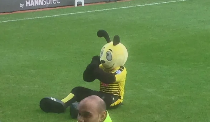 Linh vật Harry The Hornet của Watford FC trên sân Vicarage Road