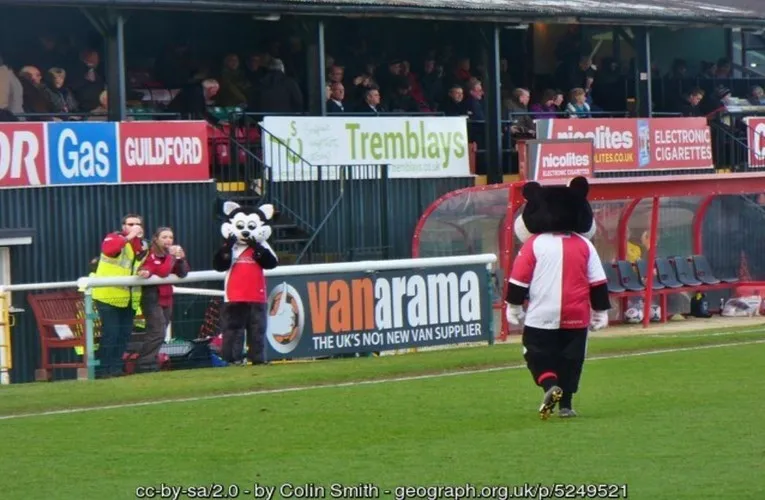 Linh vật K.C. Kat của câu lạc bộ Woking FC trên sân nhà