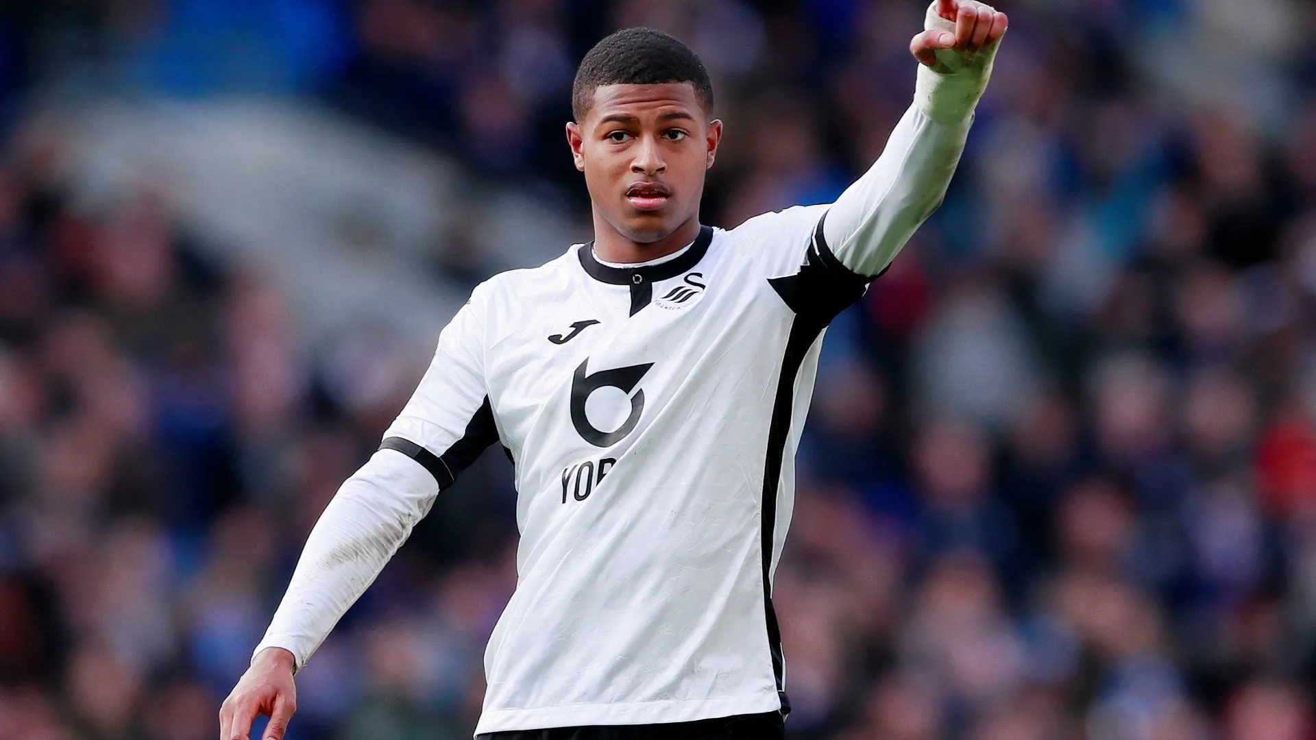 Rhian Brewster ăn mừng khi còn thi đấu cho Swansea City