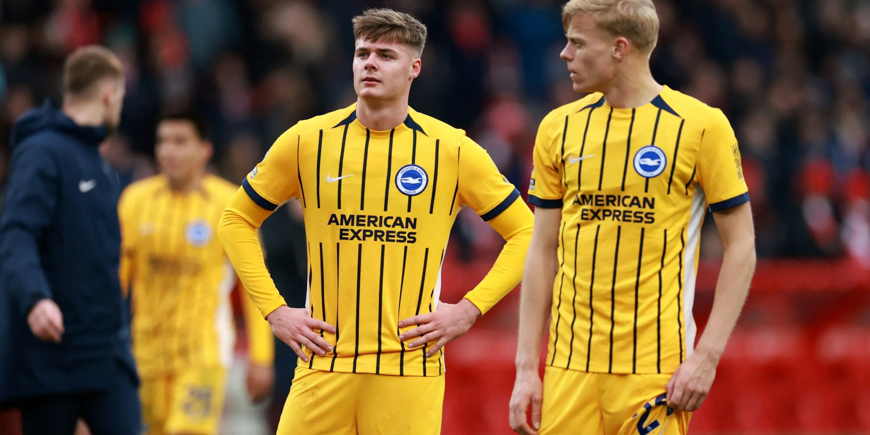Evan Ferguson thi đấu cho Brighton